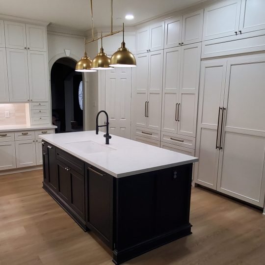 kitchen renovation in the woodlands_tx